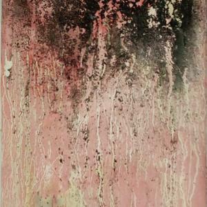 Falls, 2014, Tecnica mista su carta, 56x44cm