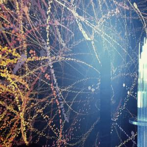 ENT3 Rome/Florianopolis, 2022, Plexiglass, Led e Animazione 3d, sonificazione di dati ambientali, 60x60x165cm