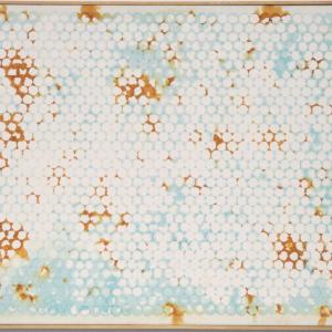 Alveare, 2014, Ossidazione su tela, 60x50cm