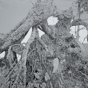 Migrante, 2022, Olio e inchiostro su tela, 170x200cm