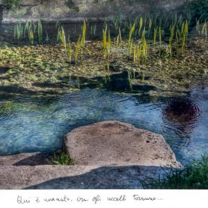 sorgente  della volpe, 2015, Stampa lambda  su carta chimica con passepartout manoscritto, 60x90cm
