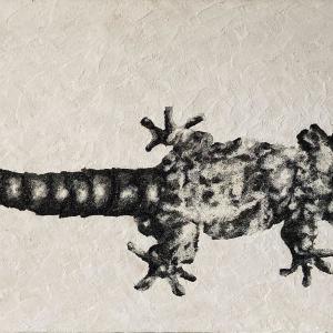 Geco padovano, , Marmo di Carrara, pigmenti e sabbia di Stromboli su tavola, 50x94cm