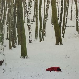 , 2005, Fotografia, 30,5x47cm