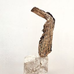 Braccio, 2025, Bronzo e travertino, 82x35x13cm