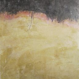 Lo specchio di Narciso 2, 2026, Tecnica mista su tela, 60x50cm