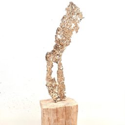 Ala, 2024, Bronzo quercia, 86x20x15cm